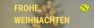 Read more about the article Frohe Weihnachten!